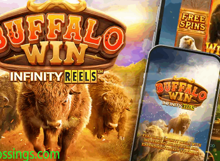 Buffalo Win Infinity